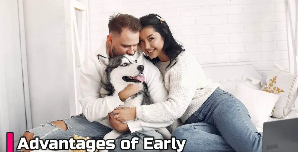 Advantages of Early Pet Insurance Enrollment